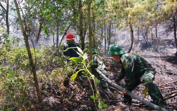 Khống chế vụ cháy rừng trên núi Cấm