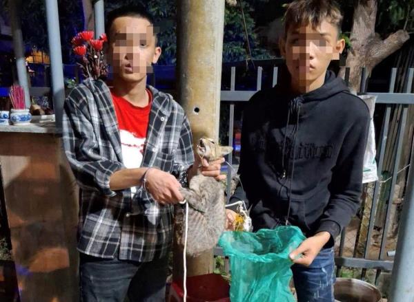 Bộ đôi trộm mèo