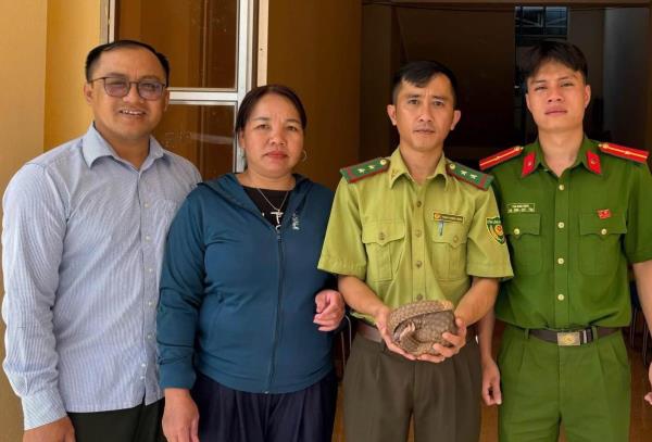 Cứu hộ cá thể tê tê Java