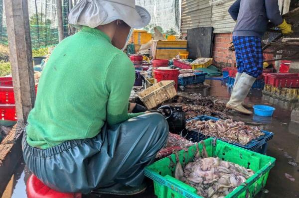 Người dân khốn khổ vì mùi hôi mực xà, Gia Lai yêu cầu xử lý dứt điểm
