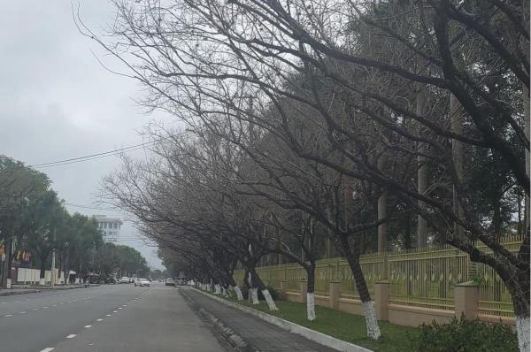 Về theo tháng Chạp…