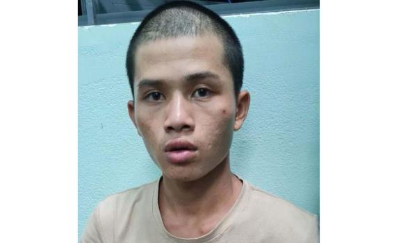 Nhập nha giữa ban ngày