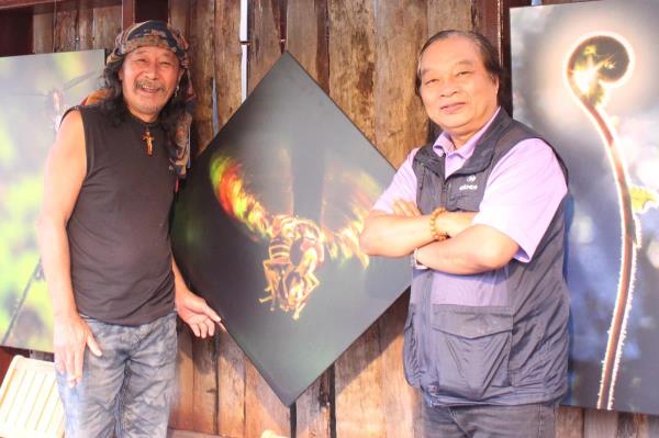 Một tích hợp những chân dung nghệ sĩ