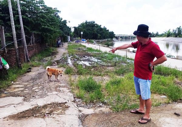 Trâu lành thành trâu què