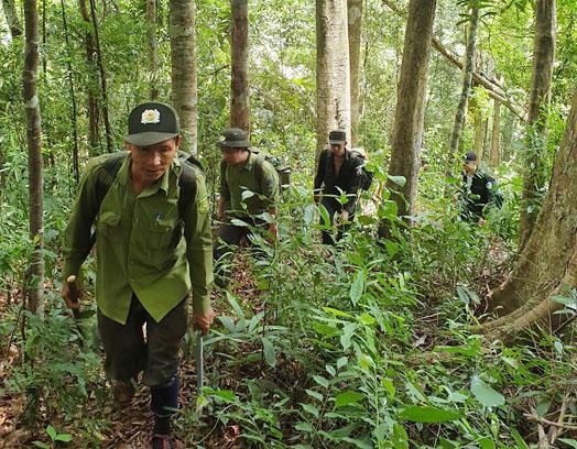 Phát hiện khung làm lán trại phục vụ khai thác vàng trái phép tại Khe Đương