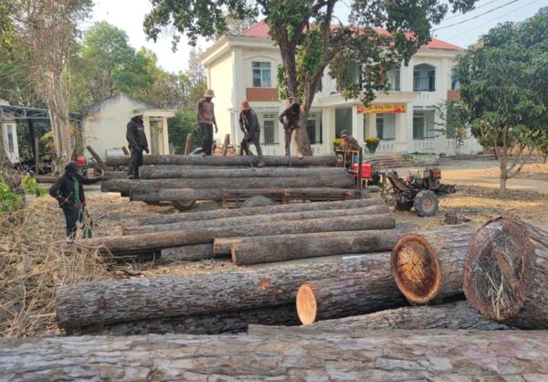 Liên tiếp xảy ra các vụ phá rừng quy mô lớn tại xã biên giới Ia Mơr