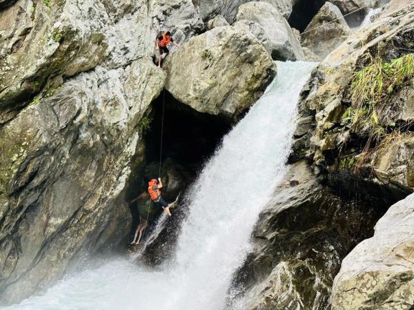 Những cuộc giải cứu giữa rừng