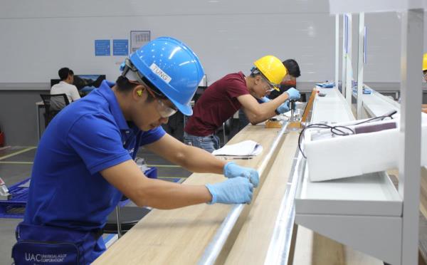 Đà Nẵng chuẩn bị gì để đón sếu đầu đàn?