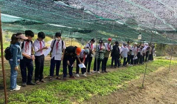 Học sinh trải nghiệm mô hình vườn rau trong phố