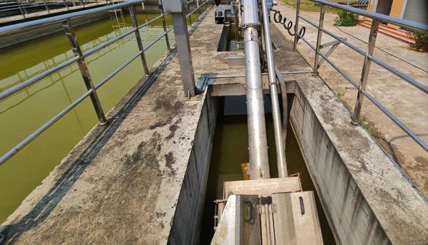 Dài cổ chờ nhà máy xử lý nước thải