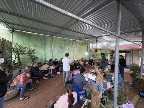 Tạm giam đối tượng tổ chức đá gà cá độ