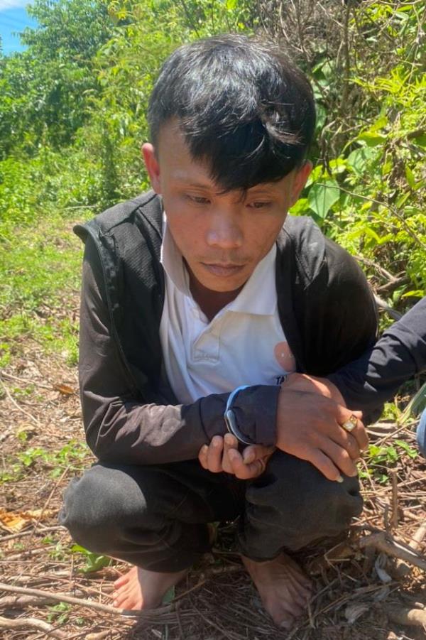 Tha đá về vườn