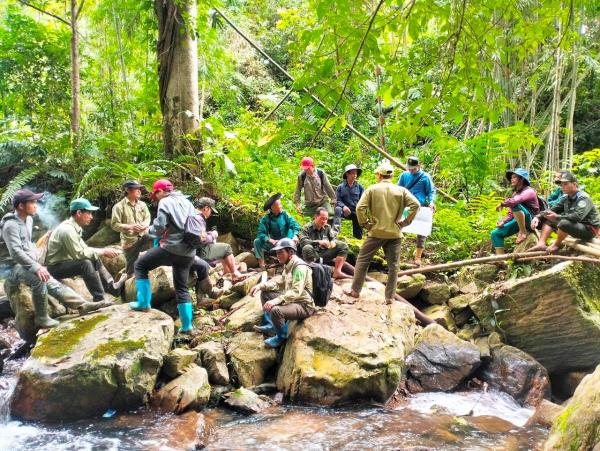 Nam Trà My tăng cường công tác quản lý, bảo vệ rừng