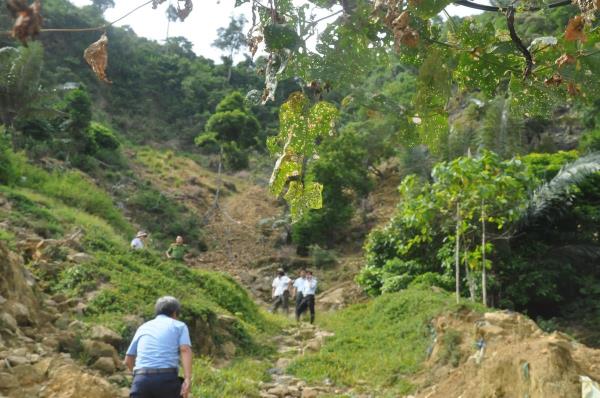 Quảng Nam đề nghị Bộ TNMT ban hành quyết định bổ sung đánh sập 36 cửa lò tại Bồng Miêu