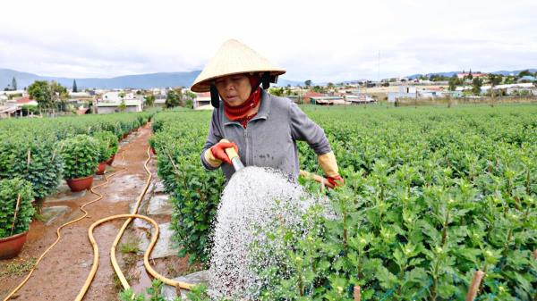 Cảnh báo thủ đoạn lừa đảo mua nông sản rồi quỵt tiền