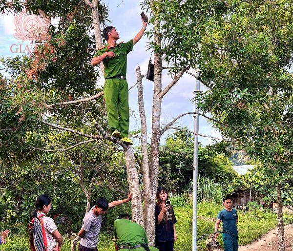 Ấn tượng lính không sáu vùng cao