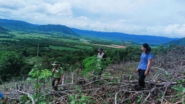 Phát hiện hàng ngàn mét vuông rừng ở xã Uar bị hủy hoại
