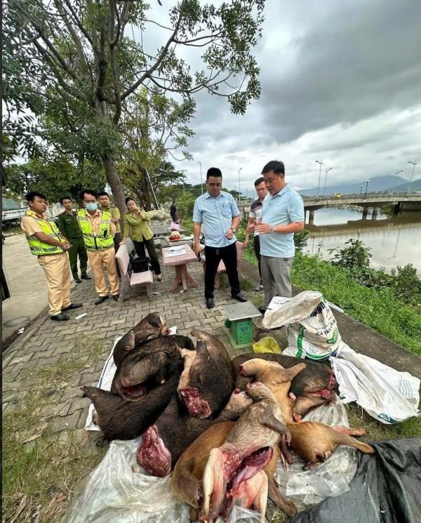 Cảnh sát giao thông Đà Nẵng phát hiện, tạm giữ xe khách vận chuyển lượng lớn thịt nghi là động vật hoang dã