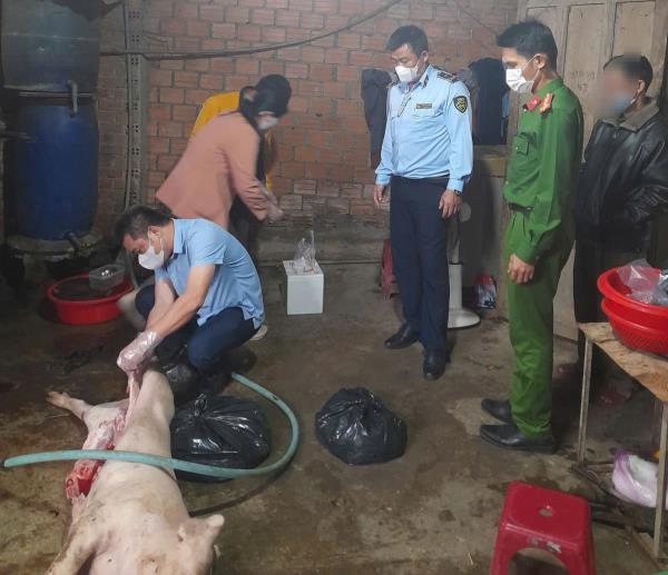 Phát hiện vụ mổ heo chết, bán ra thị trường