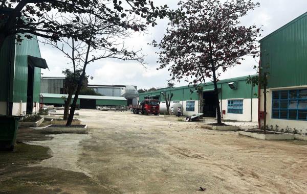 Cần giám sát chặt việc khắc phục sự cố môi trường