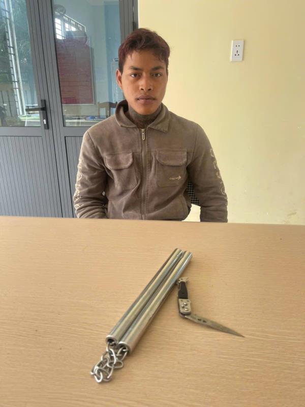 Đạo chích vùng cao sa lưới