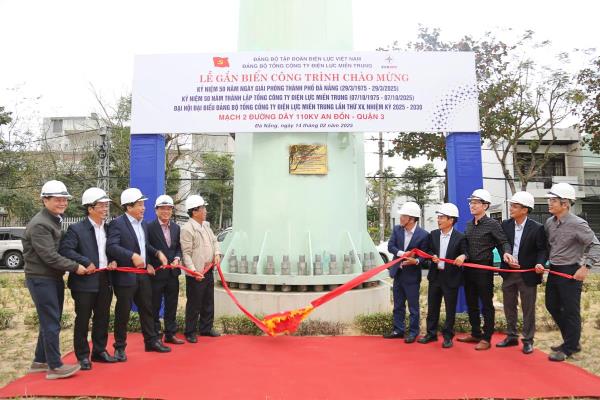 Điện lực Đà Nẵng tập trung nâng cao hiệu quả công tác quản lý vận hành lưới điện 110kV