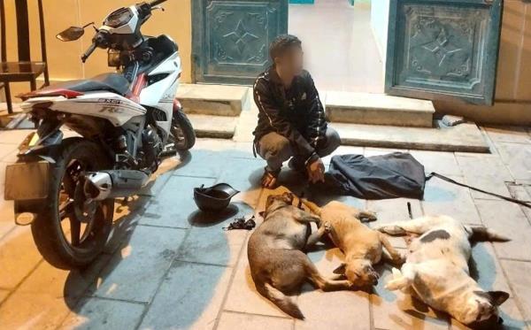 Cẩu tặc thúc thủ