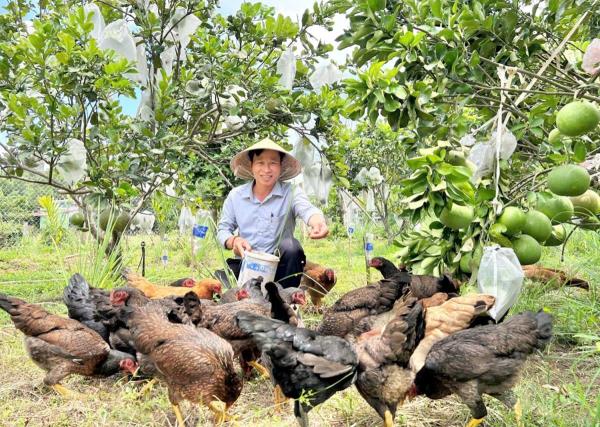 Người cựu chiến binh làm kinh tế giỏi
