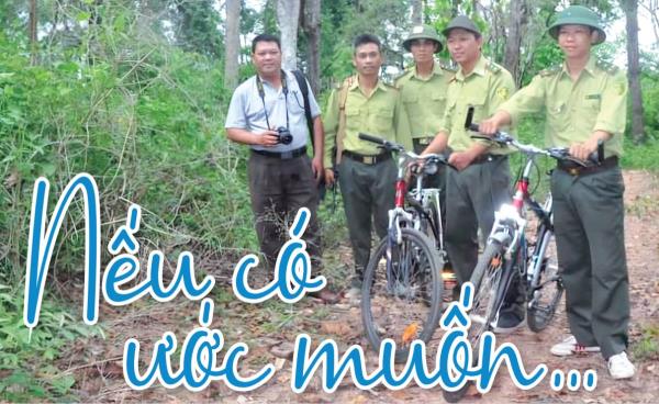 Nếu có ước muốn...