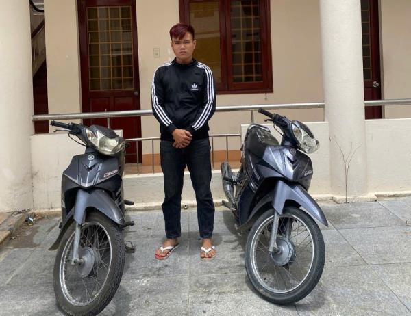 Xổng ngựa khi đi thăm đồng