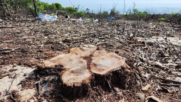 Chuyển hồ sơ, tài liệu cho cơ quan Công an điều tra theo thẩm quyền