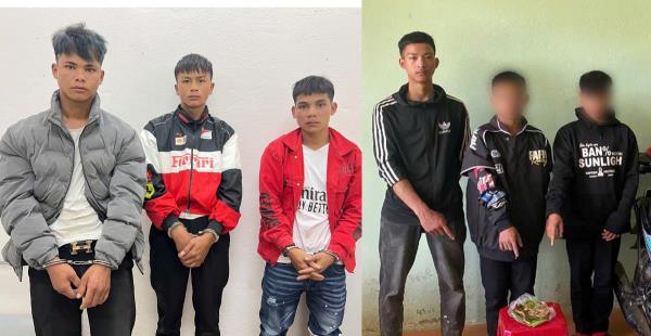 Điều tra làm rõ 2 nhóm trộm hàng trăm cây sâm Ngọc Linh