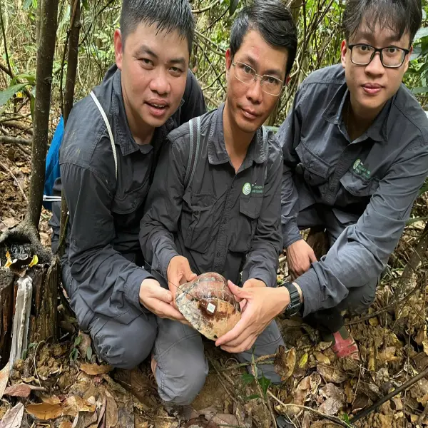 Phát hiện loài rùa hiếm nhất thế giới ở rừng tự nhiên Đắk Lắk