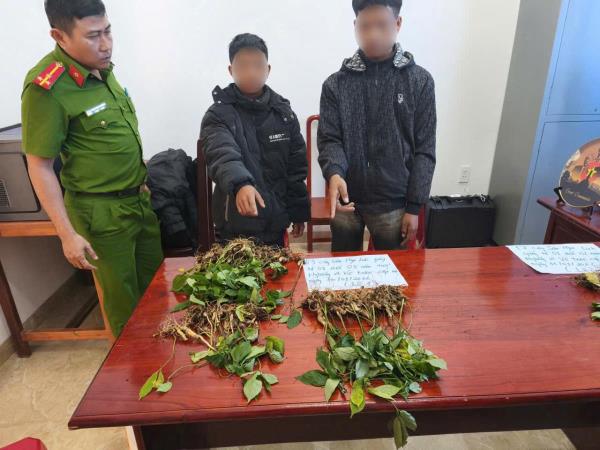 Bắt giữ đối tượng chuyên trộm cắp ở vùng sâm Ngọc Linh