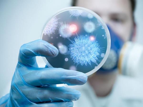 Đà Nẵng chủ động phòng, chống nguy cơ xâm nhập dịch bệnh do virus Nipah