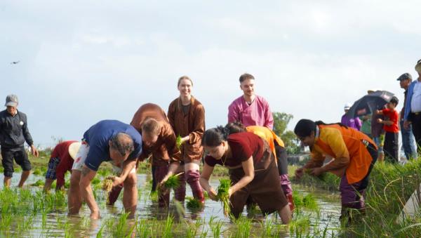 Lễ hội xuống đồng Hội An Đông 2026 thu hút khách du lịch