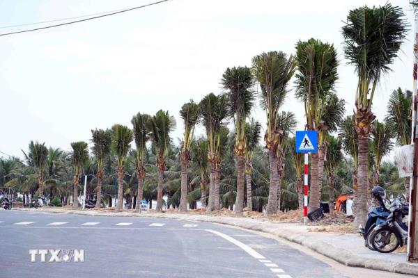 Quảng Trị tổ chức lại không gian, chỉnh trang và phát triển du lịch biển