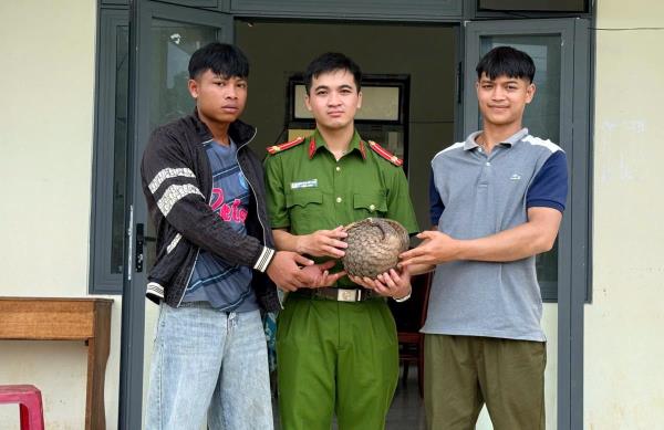Người dân tự nguyện giao nộp cá thể tê tê quý hiếm