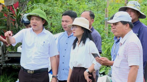 Đảng ủy phường Hòa Khánh Khai trừ ra khỏi Đảng 7 đảng viên vi phạm