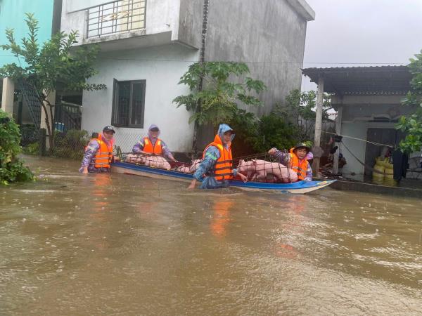 Lực lượng Công an hỗ trợ người dân vùng ngập Vạn Tường di dời tài sản