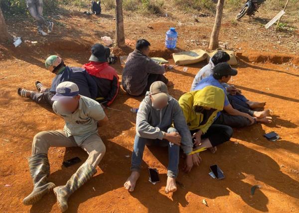 Phá sới gà cá độ trong rẫy cao su