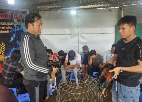 Triệt phá tụ điểm đá gà cá độ