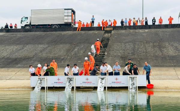 Thả cá giống xuống hồ Thủy điện Sông Tranh 2 tạo sinh kế bền vững cho người dân