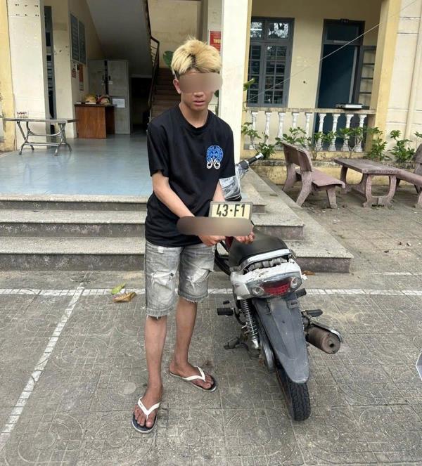 Đạo chích nhí sa lưới trên đường