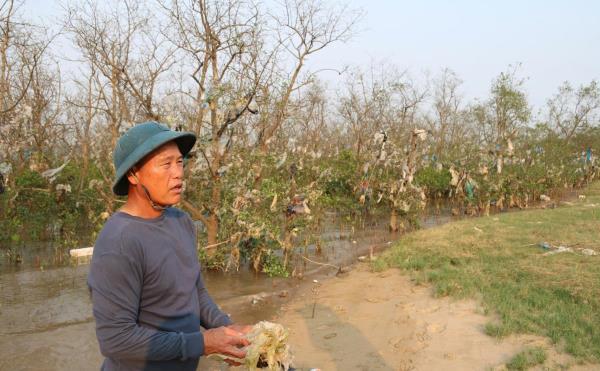 Rừng bần ven sông Lam bị bức tử