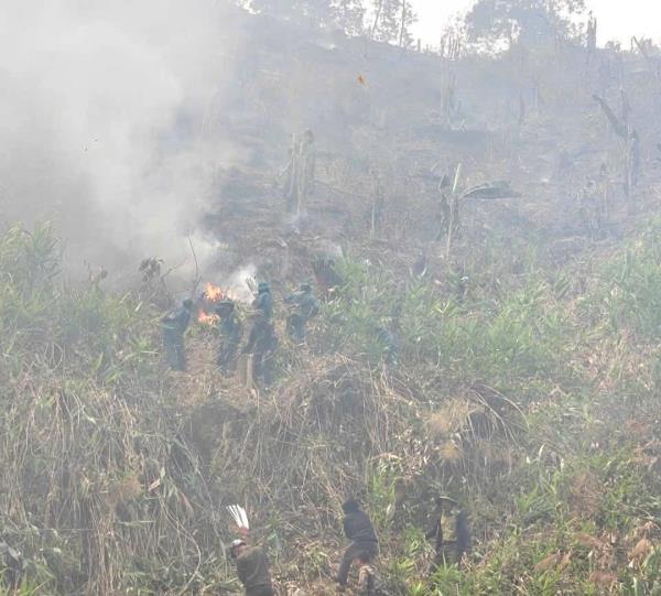 Kịp thời dập tắt vụ cháy rừng ở Phước Trà
