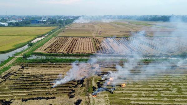 Không chặn được đốt rơm rạ lãnh đạo địa phương chịu trách nhiệm