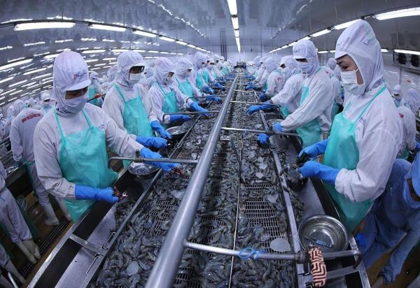 Xuất khẩu thủy sản năm 2026 có nhiều dư địa tăng trưởng