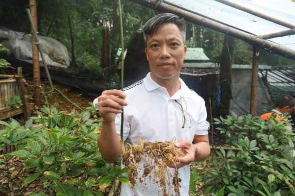 Tiên phong chuyển đổi vật liệu thân thiện ở thủ phủ sâm Ngọc Linh