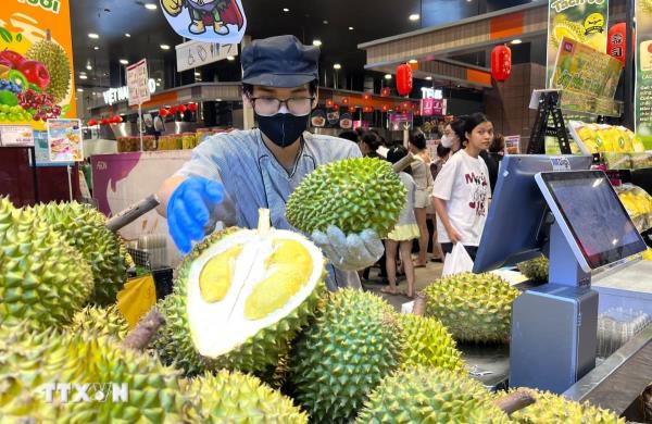 Vận hành hệ thống truy xuất nguồn gốc: Nền tảng số cho nông sản Việt vươn xa